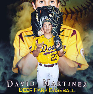 Meet your Posher, David